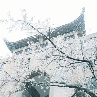 武警北京市总队医院开展“六一”儿童节健康义诊